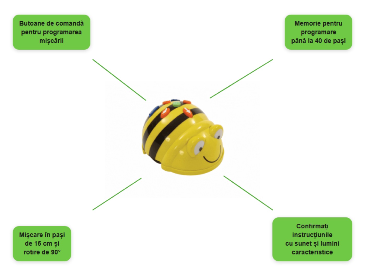 Bee-Bot robot — infografică