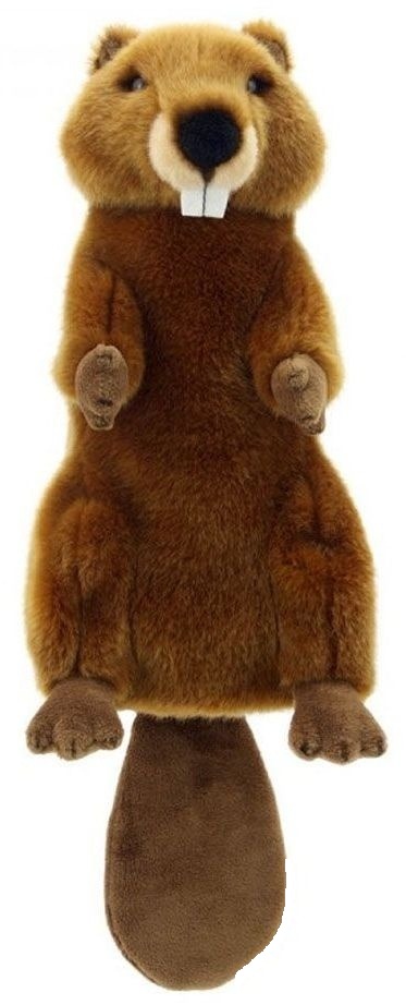 Papusa de teatru, 38 cm., Castor