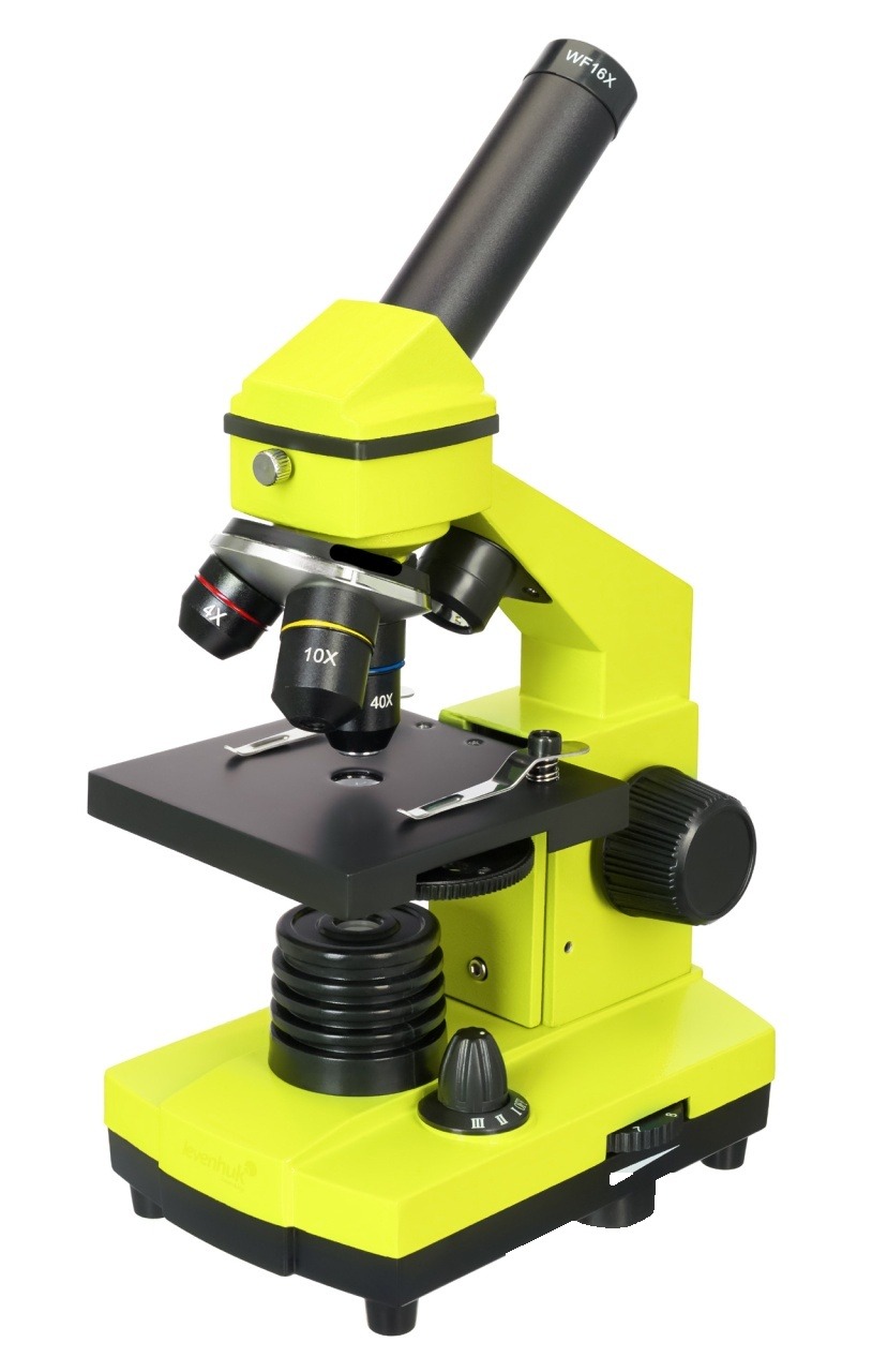 Microscop Rainbow 2L PLUS 64–640x (Lime)
