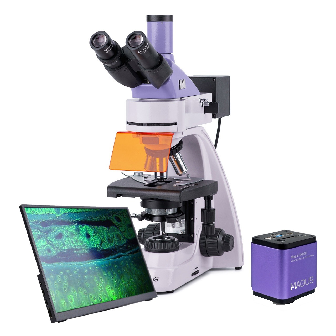Microscop digital fluorescent Lum D400L LCD