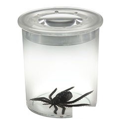 Borcan pentru insecte