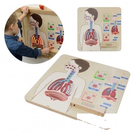 Sistem respirator interactiv din lemn STEM