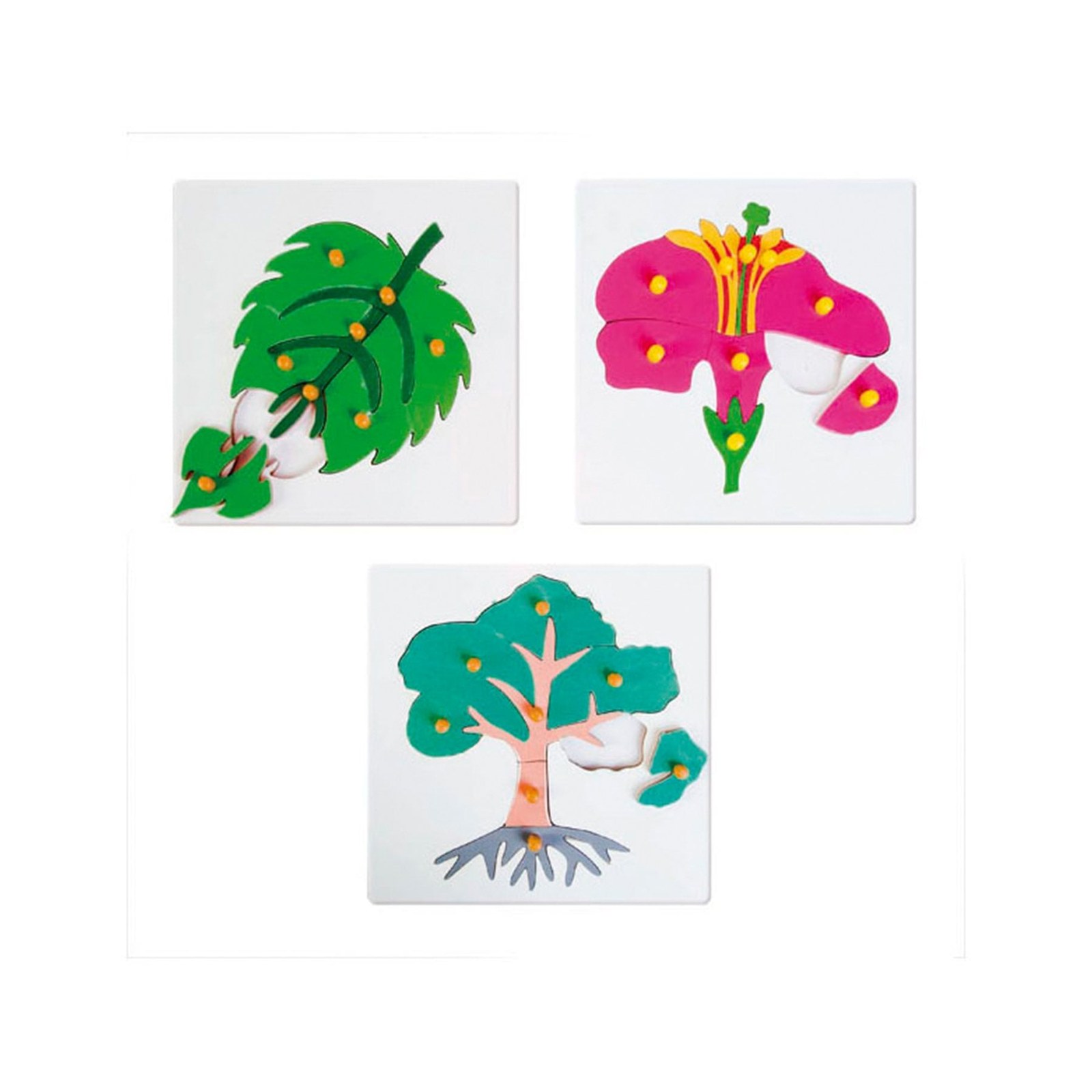 Puzzle botanic Nowa Szkola, lemn, 25 x 25 cm