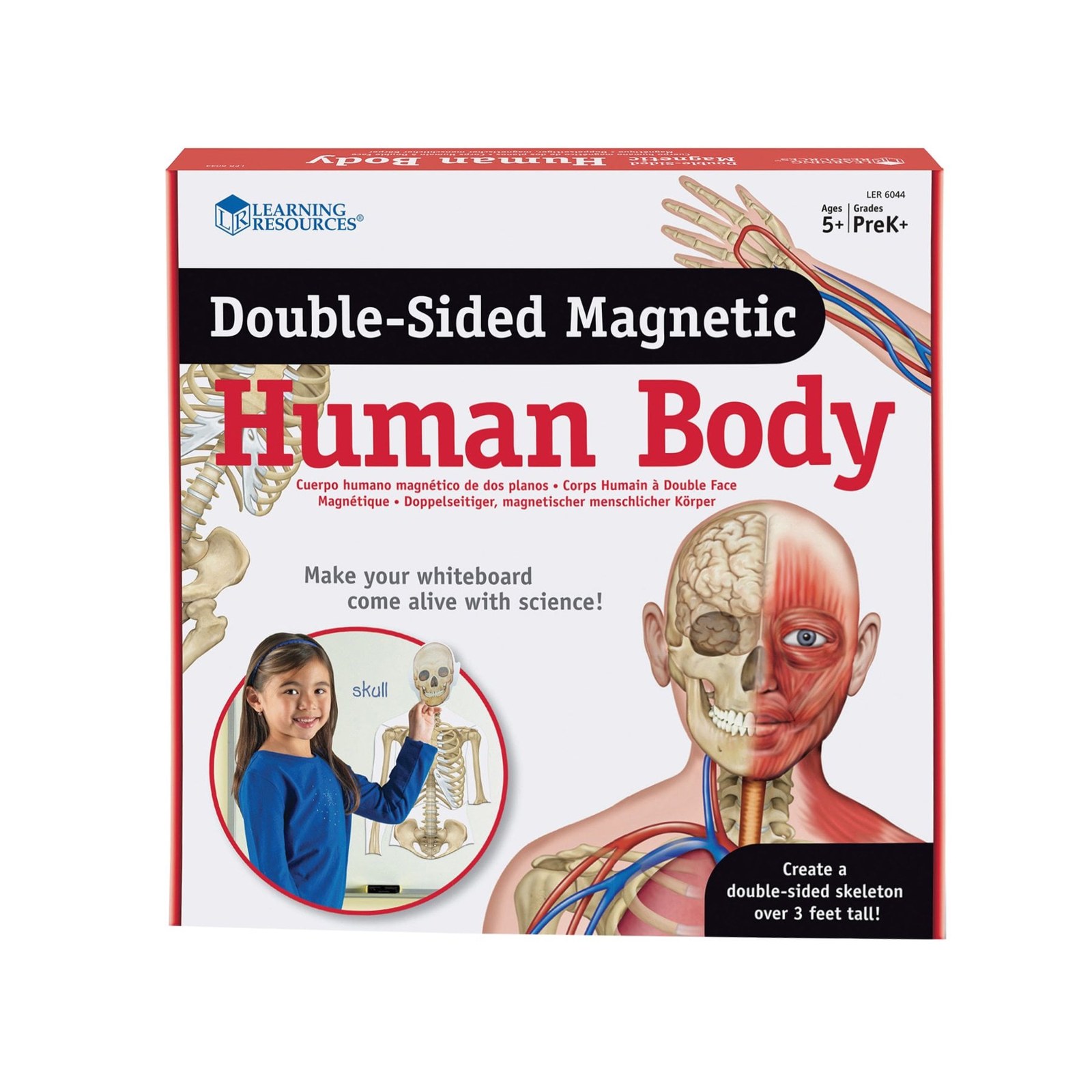 Corp uman magnetic Learning Resources, 90 cm