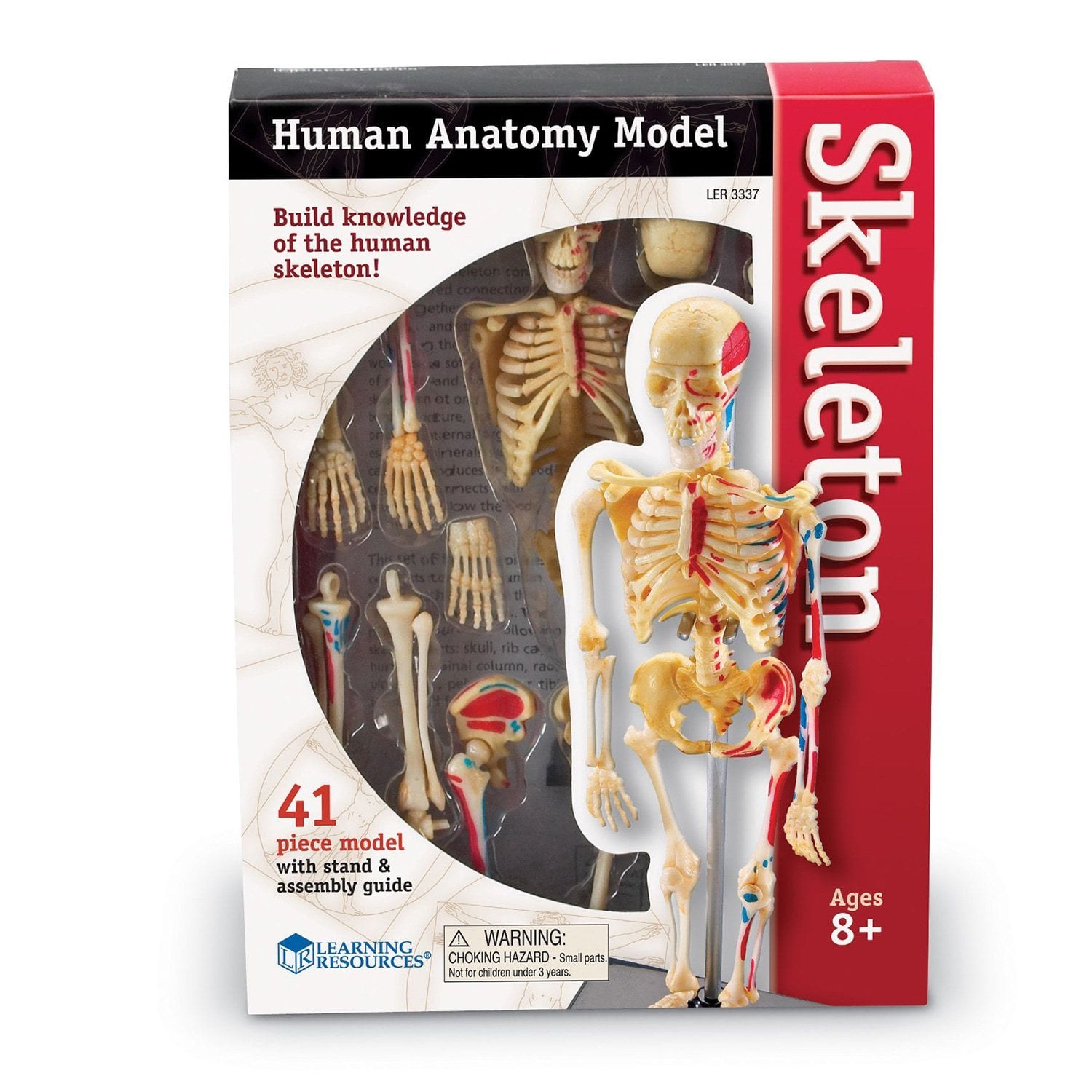 Learning Resources model schelet uman, 23 cm
