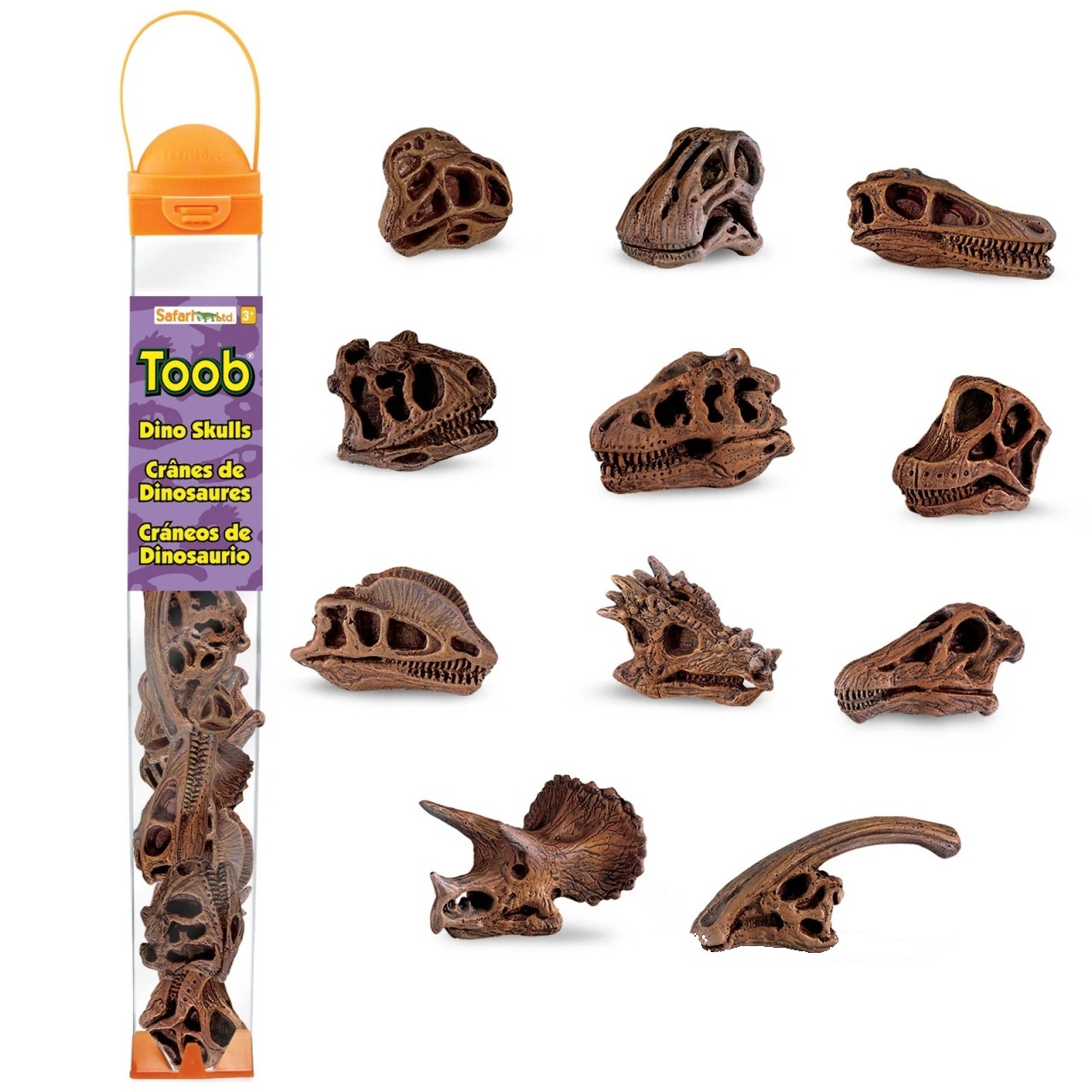 Toob „Cranii de dinozauri" – set educațional pentru paleontologi
