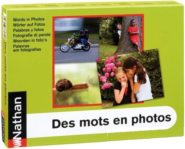 Cuvinte în fotografii - atelier de prepoziții, adjective și verbe
